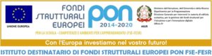 logo_pon_2020
